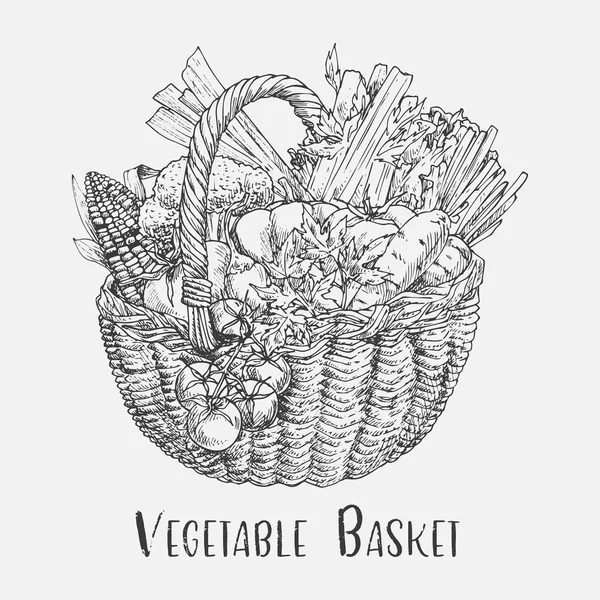 Esboço de tomate e milho, brócolis em cesta — Vetor de Stock