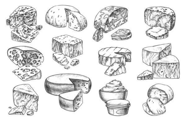 Iconos de boceto de tipos de queso, enteros y rebanadas — Vector de stock
