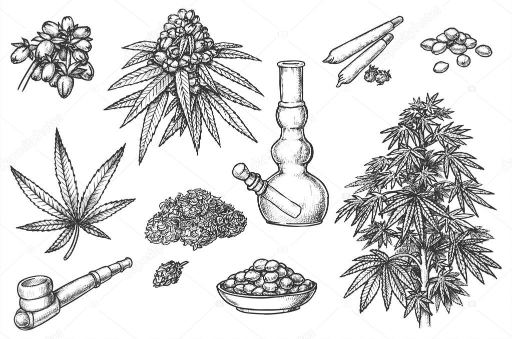 Set of sketches for marijuana items, hemp leaves and engraved seeds, cannabis bud. Smoking Pipe and bong, joint and jar, cigarette and tobacco. Sativa, indica marijuanna, medicine weed, legalize pot