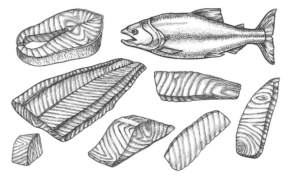 Iconos de boceto de pescado de salmón cortado, filete y filetes — Archivo Imágenes Vectoriales