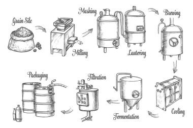 Beer brewery production infographics, sketch icons clipart