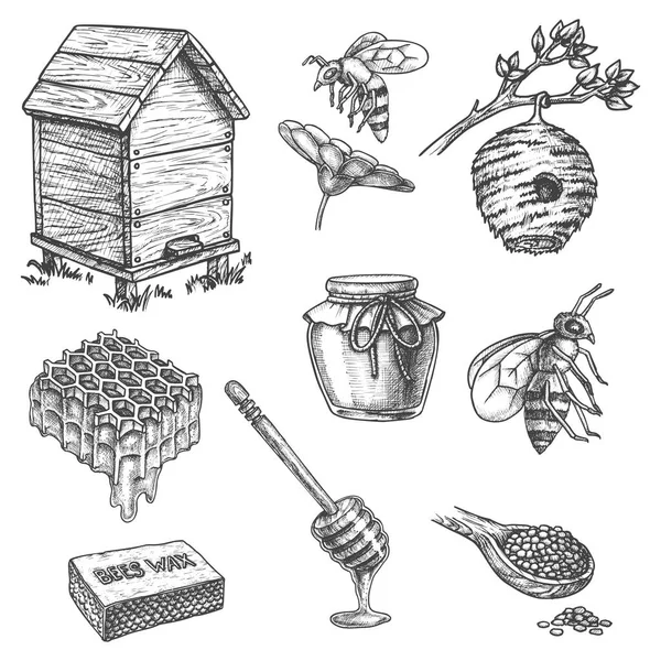 Méhészeti vázlat ikonok, mézes mártogató, kaptár, méhsejt — Stock Vector