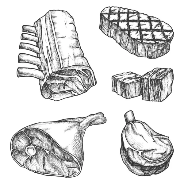 Sketch meat, bbq beef steak, grill ribs and bacon — Stockvector