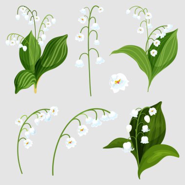 Isolated set lily of the valley bouquet elements