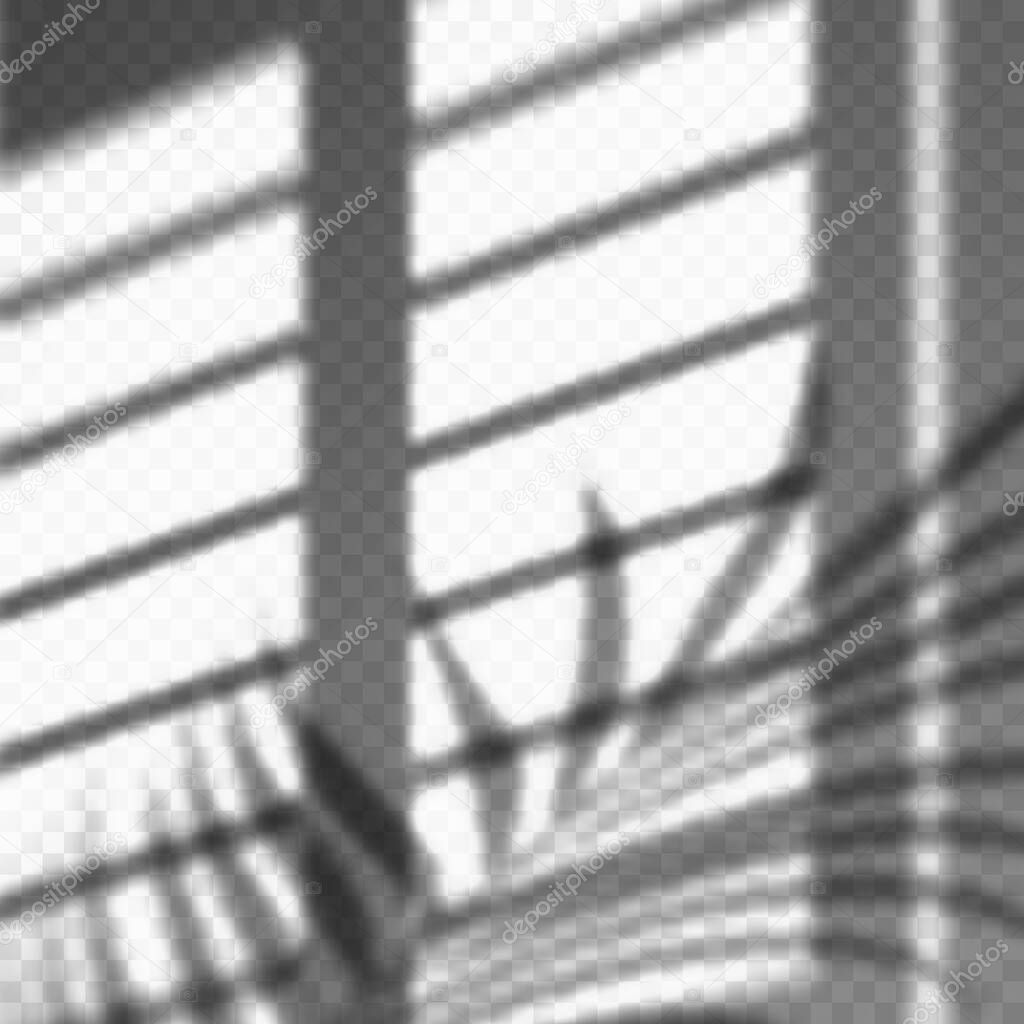 Blurred palm leaves and blinds shadow cast