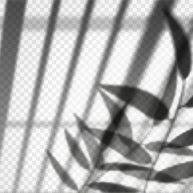 Vertical blinds or louvers reflection with branch clipart