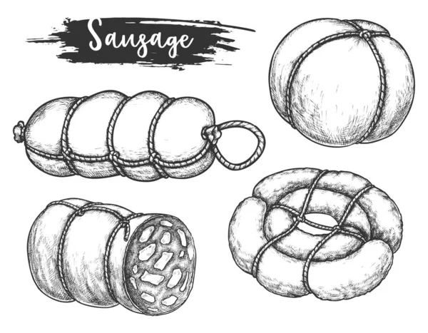Set of isolated sausage and meat roulade — Stock Vector