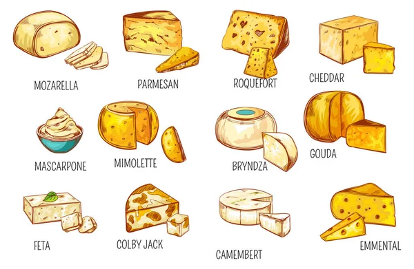 Tipi di formaggio schizzo, latticini icone prodotti alimentari — Vettoriale Stock
