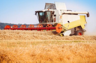 Birleştirme-biçerdöver buğday alanında