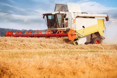 Birleştirme-biçerdöver buğday tahıl toplama. Clou ile mavi gökyüzü