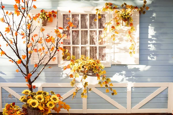 Marple tree with orange leaves in front of wooden house in Flori