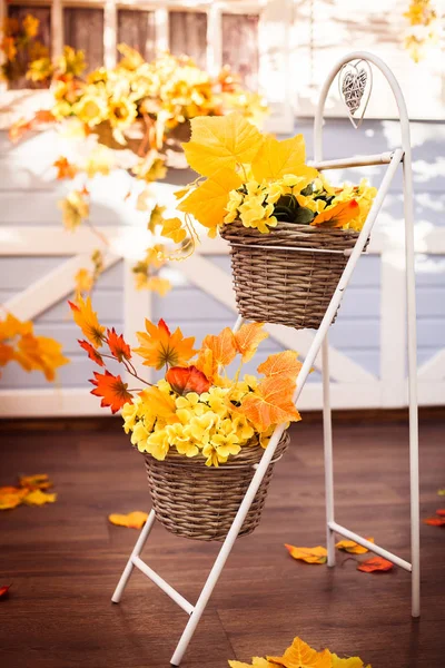 黄色的树叶与秋花篮子 — 图库照片