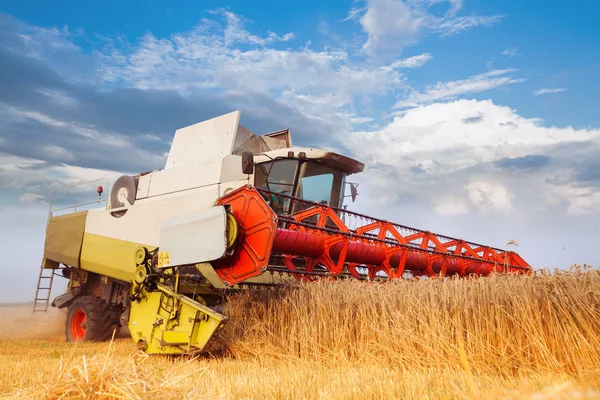 Cosechadora que recoge grano de trigo . — Foto de Stock