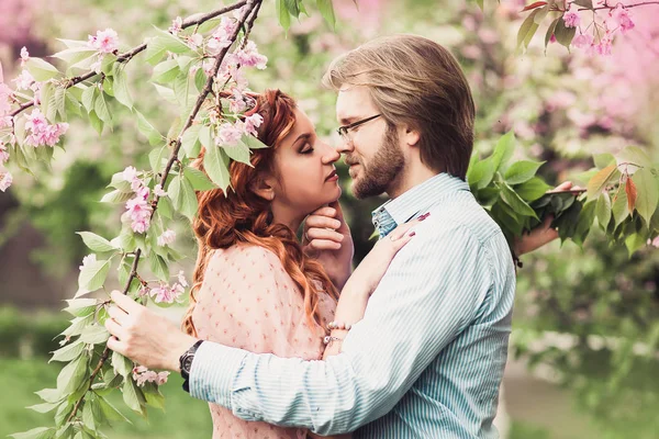 Европейская пара целуется под весенним вишневым деревом — стоковое фото