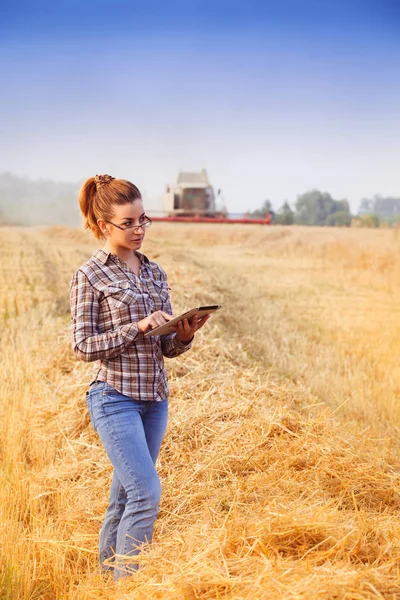 Chica granjera pelirroja en gafas mantiene una contabilidad de cultivos en la t — Foto de Stock