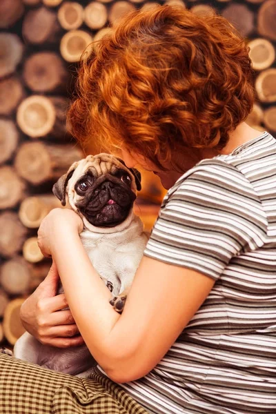 Sevimli köpek yavrusu pug wonderingly oturur kadının diz ve seyir üzerinde bir