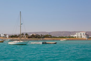 White Yat ve Beyaz Saray