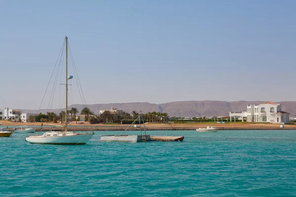 White Yat ve Beyaz Saray