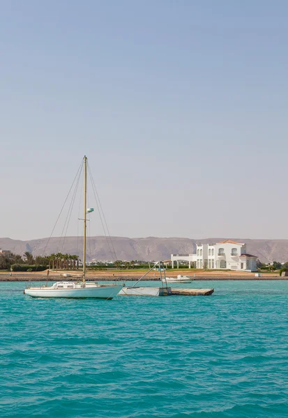 White Yat ve Beyaz Saray