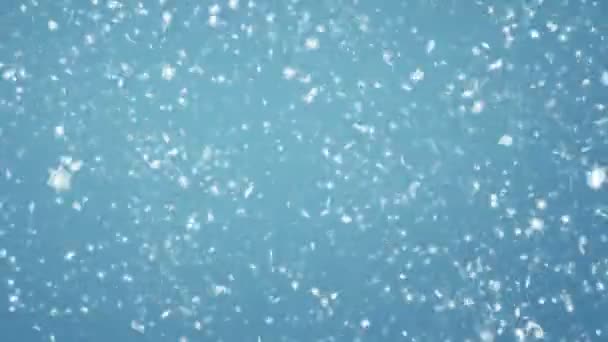 Снегопад, красивый фон — стоковое видео