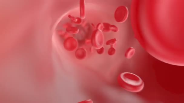 Circulatie van bloed in de slagaders — Stockvideo