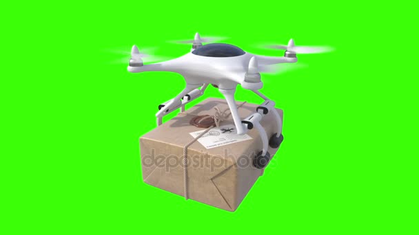 Quadcopter entrega correo — Vídeos de Stock