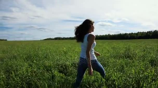 Ευτυχής όμορφη κοπέλα πηγαίνει σε ένα χόρτο στο πεδίο — Αρχείο Βίντεο
