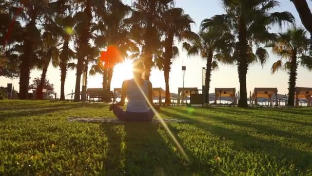 Reggeli meditáció a parkban — Stock videók