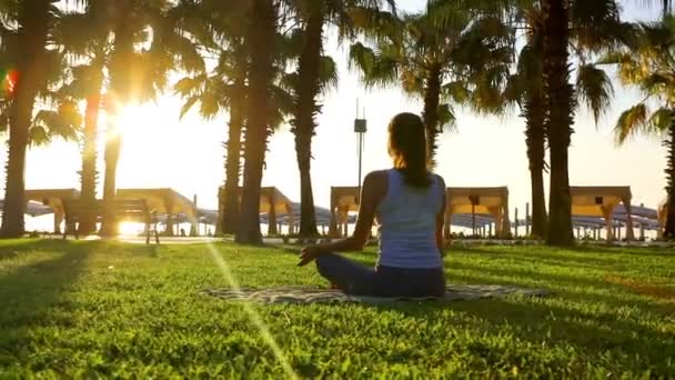 Meditação matinal no parque — Vídeo de Stock