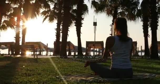 Ранкова медитація в парку, жінка практикує йогу — стокове відео