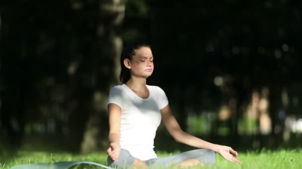 Mulher pratica ioga no parque — Vídeo de Stock