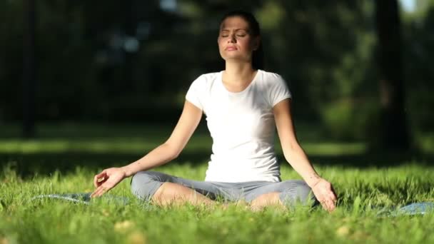 Mujer practica yoga en el parque — Vídeo de stock