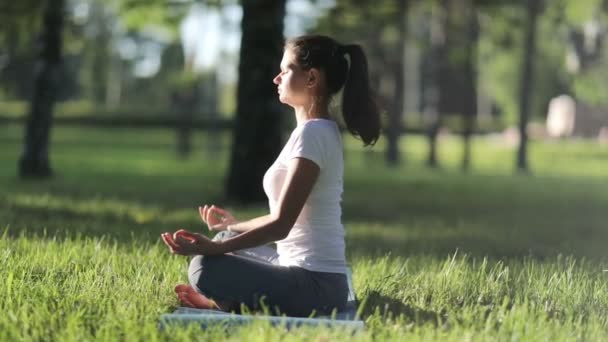 Nő gyakorlatok jóga a parkban — Stock videók