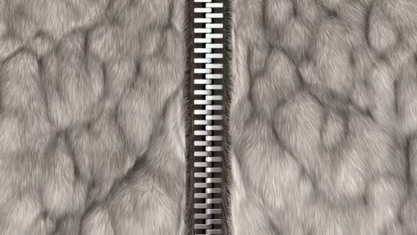 Unzipping Zipper Fur Coat Option Animation — Stock Video