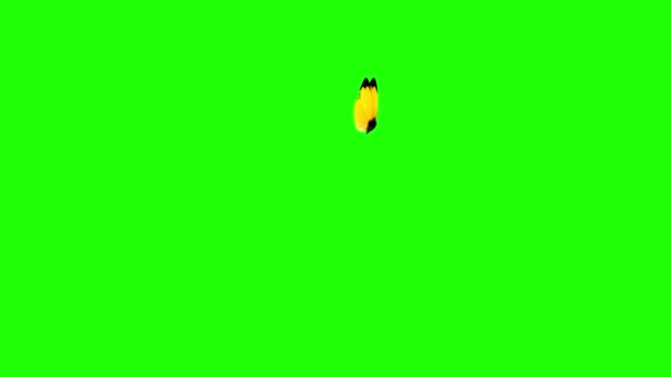 Papillons sur fond vert. Belle animation 3D, 4K 