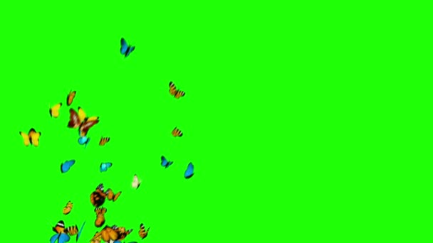 Mariposas Volando Sobre Fondo Verde Animación — Vídeos de Stock