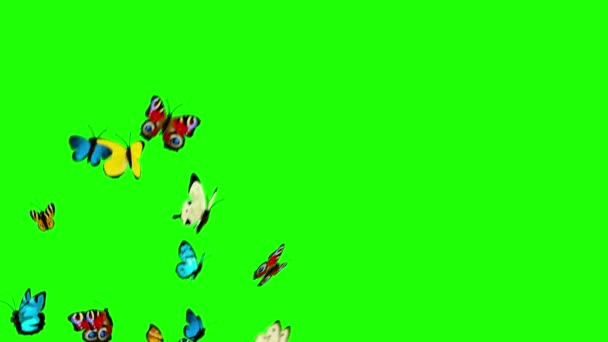 Mariposas Volando Sobre Fondo Verde Animación — Vídeos de Stock