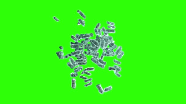 Bacteria Breed on a Green Background — Stock Video