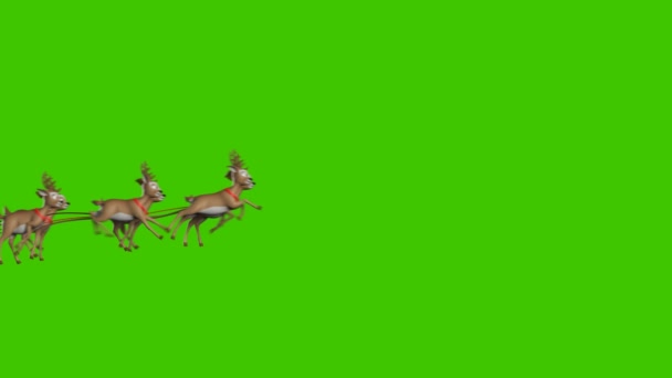 Santa Claus on a Reindeer Sleigh Flying on a Green Background, Beautiful 3d Animation, Two Cameras, 4k — ストック動画