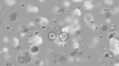 Coronavirus Virüsü, 3 boyutlu animasyon