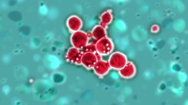 Üreme Virüsü, 3D Canlandırma