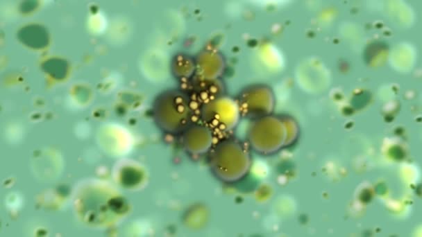 Breeding Virus Colony, 3d Animation — Stock Video