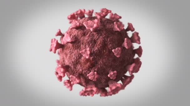 Coronavirus Covid-19 Langsam rotierend auf grauem Hintergrund, nahtlose 3D-Animation — Stockvideo