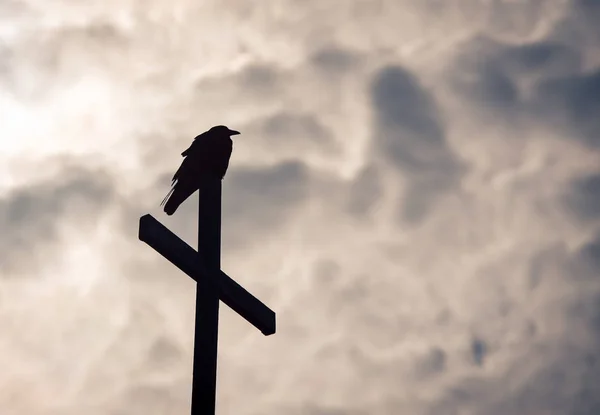 Corbeau sur une croix — Photo