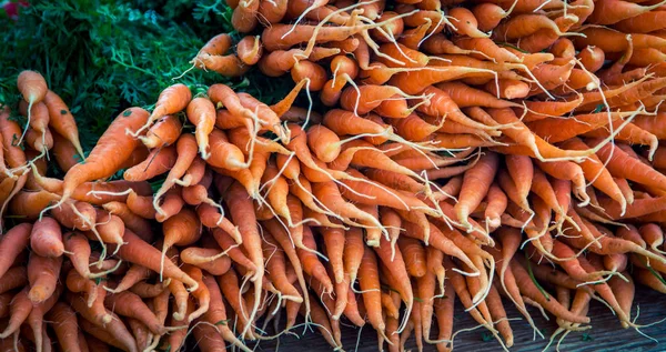 Pile of fresh carrots — Stock Photo, Image