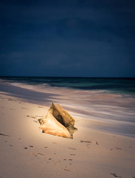 海萨海螺壳海滩 — 图库照片