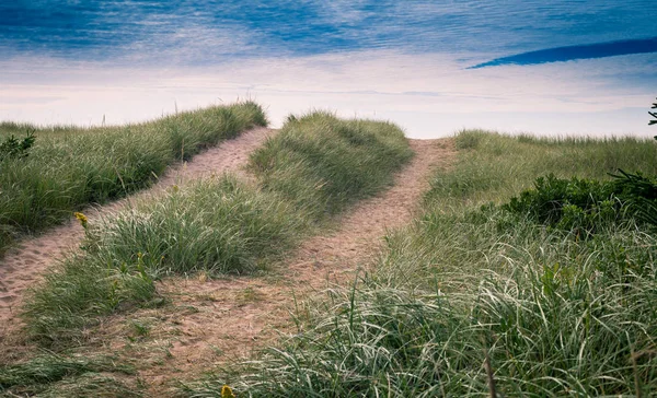 Cesta na písečných dunách — Stock fotografie