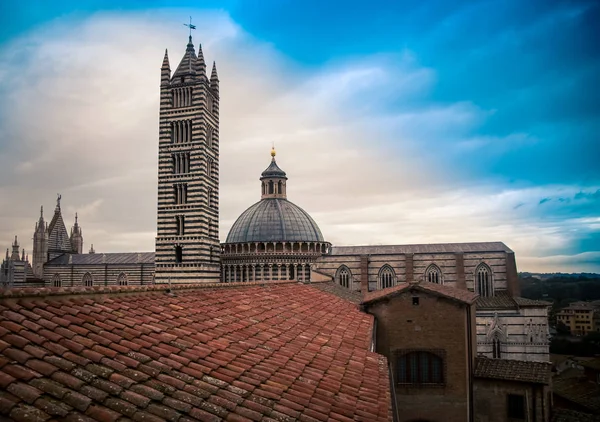 Cathedral and tower siena italy — Stock Photo, Image