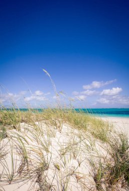 Grace defne Turks ve Caicos Adaları
