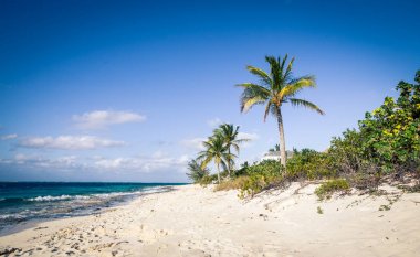 Grace defne Turks ve Caicos Adaları